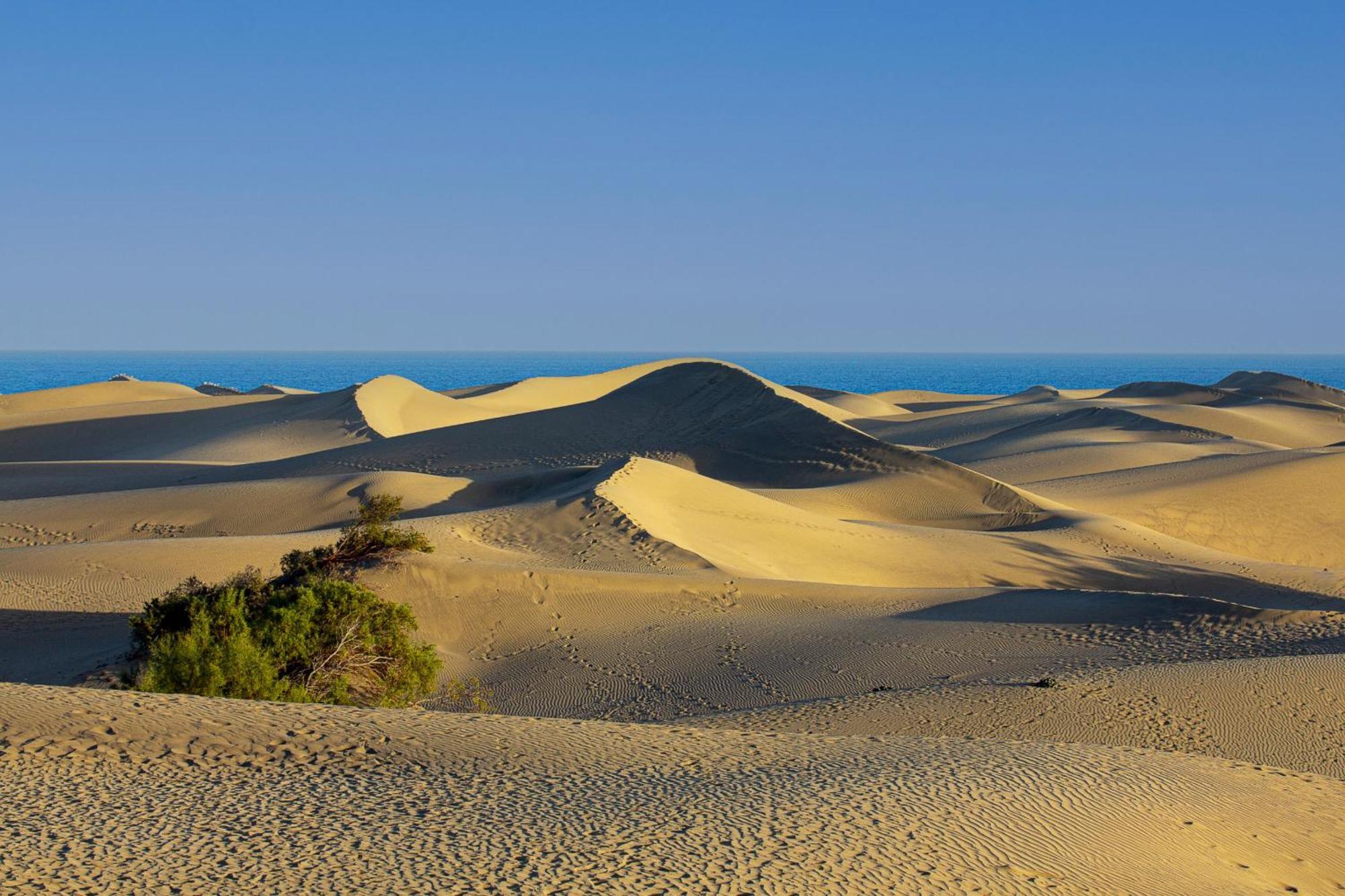 Bungalow Beside The Maspalomas Dunes By Pride Holiday Rentals San Bartolomé 외부 사진